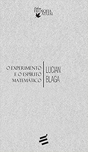 Experimento E O Espirito Matematico, O, De Blaga, Lucian. Editora E Realizaçoes, Capa Mole Em Português