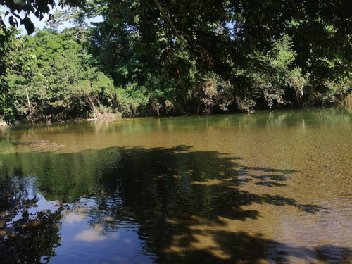 Oportunidad Finca 3000 Tarea Bayaguana Le Cruza Un Río Facil