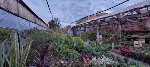 Imagen 5 de 7 de Terreno - Wilde