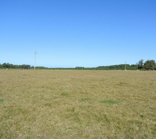 Quinta En Venta En Las Garzas