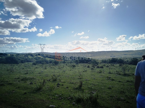 Campo Ganadero En Venta En Maldonado, A 60 Km De Punta Del Este- Ref: 26296