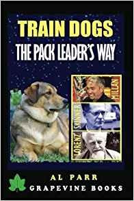 Train Dogs The Pack Leaders Way! (basic Lessons With Cesar M
