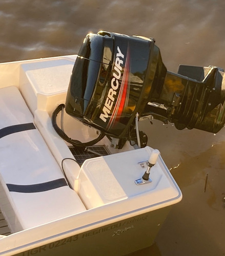 Lancha Regnicoli Fishing 475 Mercury 50hp Con Opcionales