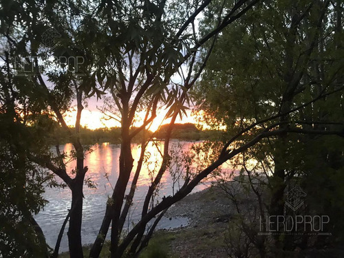 Imagen 1 de 3 de Venta - Terreno Héctareas Chacra - Arroyito, Plottier, Neuquén