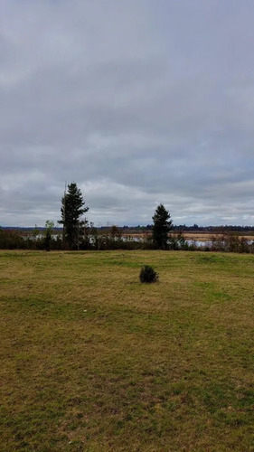 Parcela De 5.000 M2 Vista Río Cruces, San José Mariquina