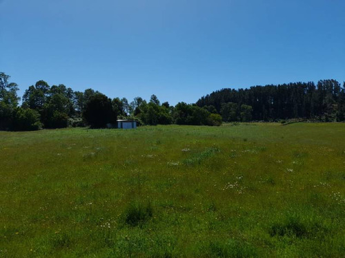 Se Vende Hermoso Campo En La Unión