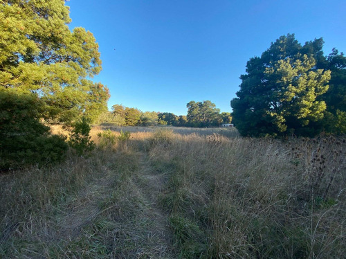 Imagen 11 de 17 de Venta Lote En Chapadmalal - Highland Park - 555 M2