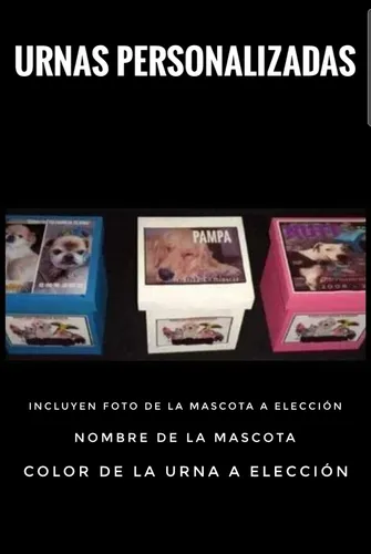 Funeraria De Mascotas Luna Cremaciones De Mascotas Y Más...