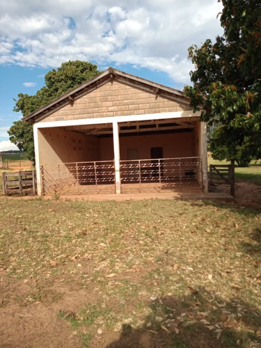 Imagem 7 de 30 de Fazenda À Venda Em Echaporã/sp - Fa00113 - 68992877