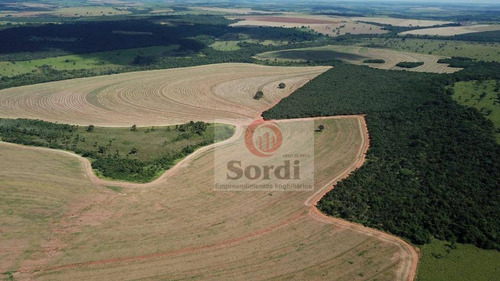 Imagem 9 de 20 de Fazenda À Venda, 4400000 M² Por R$ 22.000.000,00 - Zona Rural - Prata/mg - Fa0109
