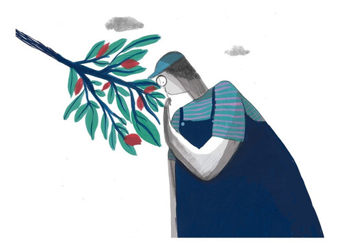 Imagen 6 de 8 de Cuentos Para Todos Y Todas - Libro Ilustrado