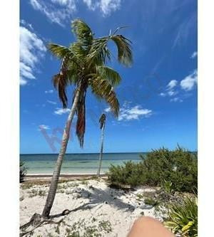 Imagen 17 de 18 de Terrenos Residenciales A La Venta En Santa Clara, Costa Esmeralda, Yucatán.