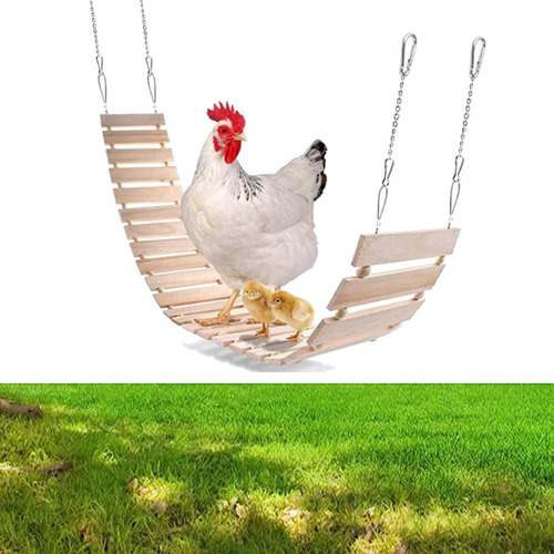 Soporte Para Columpio De Pollo, Juguetes De Escalada Para