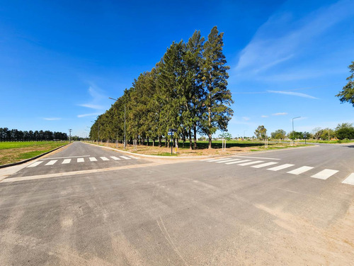 Lote De 300m2 - Venta - Barrio Abierto Resindencial - General Lagos