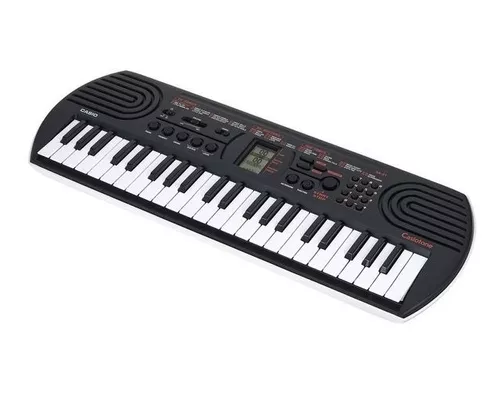 Teclado Infantil Casio Casiotone Sa 81 Preto Sem Fonte