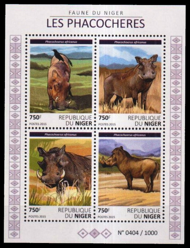 Fauna - Jabalíes - Niger 2015 - Hojita Mint