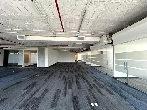 Oficina En Renta - Masaryk Piso 7 - 511 M2