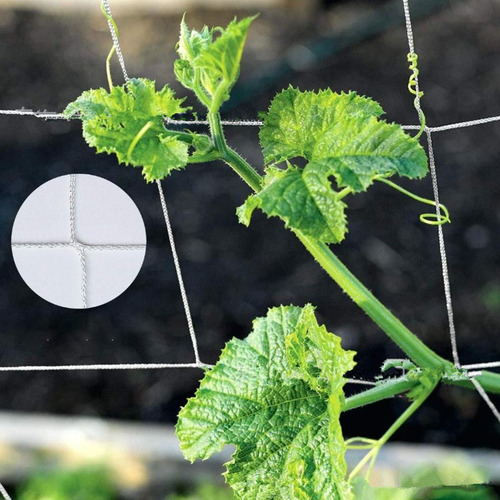 Rede De Suporte Para Plantas De Jardim Branco 1,67 X 5m