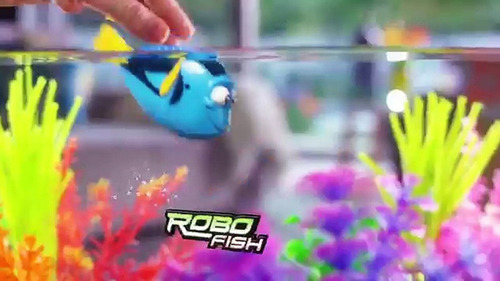 Buscando A Dory Pecera Forma Cafetera Y Dory Robofish Filsur