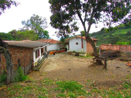 Finca En Venta (soatá - Boyacá)