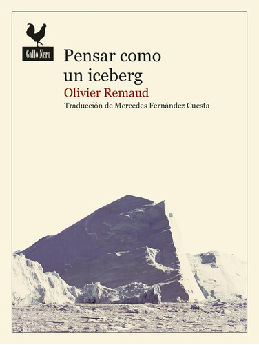 Pensar Como Un Iceberg  - Olivier Remaud