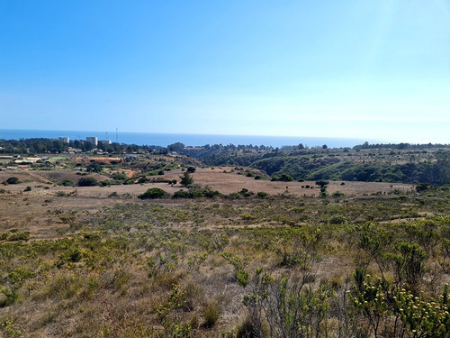 Imagen 17 de 25 de Parcelas De 5.000 Con/sin Vista Mar En Condominio Algarrobo