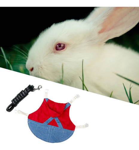 Suministros Para Mascotas Animales Pequeños Metro Rojo