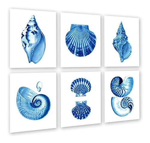 Conchas De Mar Azul Prints De Arte De La Decoracion Set De