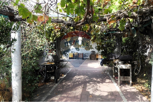 Precio Rebajado - Gran Patio