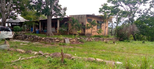 Imagen 3 de 4 de Vendo Finca Ubicada En Lagunita Glf-004