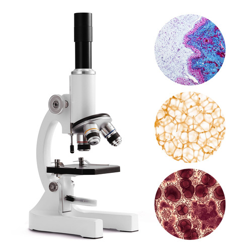 64x-2400x Microscopio Óptico Monocular Escuela Primaria