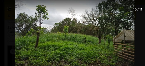 Imagen 8 de 10 de Se Vende De Oportunidad Hermosa Finca De 40 Hectáreas
