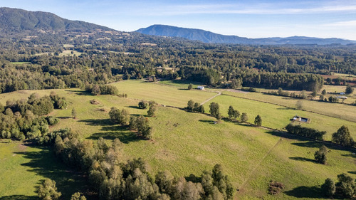  El Mañio, Panguipulli