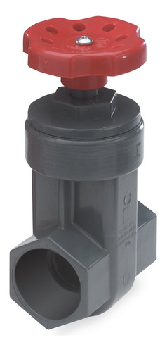 Gvg-2000-s Nds Proguard Gate Valve, 2 In, Ips Hub, Sch ...