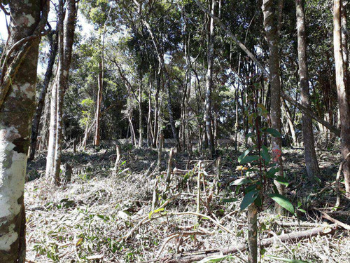 Imagem 15 de 28 de Terreno, Chácara Das Palmeiras, Itapecerica Da Serra - R$ 150 Mil, Cod: 1188 - V1188