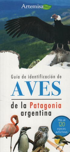 Guia De Identifacion De Aves De La Patagonia Argentina, De No Aplica. Editorial Artemisa, Tapa Blanda En Español