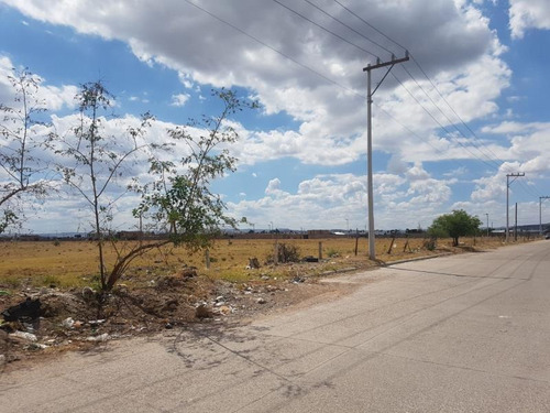 Imagen 9 de 9 de Terreno En Venta 20 De Noviembre