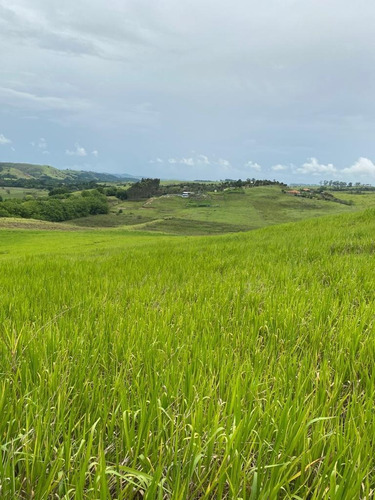 Imagem 5 de 30 de G02 Nosso Terreno Com Ótima Vista