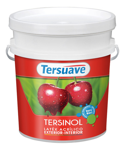 Pintura Latex Interior - Exterior Tersinol Tersuave 10l - Davinci