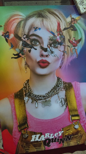 Harley Quinn Poster Dc Comics ,birds Of Prey,batman (Usado)