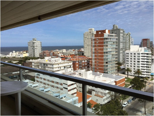 Imagen 11 de 30 de Apartamento En Peninsula, 3 Dormitorios *