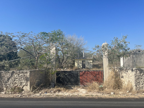 Terreno En Renta Cerca Carretera Progreso