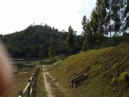 Imagem 8 de 20 de Haras À Venda, 77000 M² Por R$ 1.710.000,00 - Castelo Branco - Sorocaba/sp - Ha0001 - 67639931