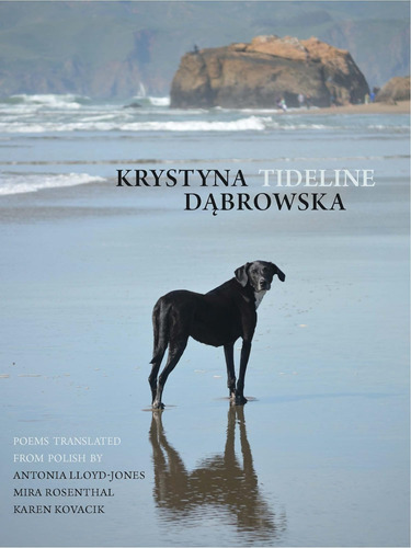 Libro:  Tideline (new Polish Writing)