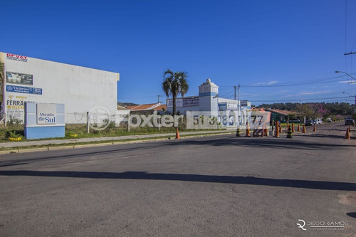 Imagem 22 de 23 de Terreno, 135 M², Campo Novo - 179986