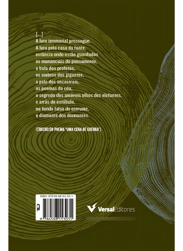 A Lã Das Velhas Ovelhas Já Não Serve Para A Neve De Amanhã, De José Enrique Barreiro. Editorial Versal Editores, Capa Mole, Edição 1 Em Português, 2024