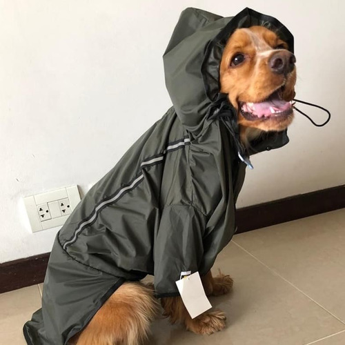 Imagen 2 de 6 de Abrigo Impermeable Para Perros Talla Xl