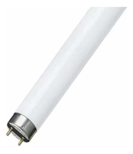 Tubo Fluorescente T8 32w 3500k 120 Cm Luz Cálida