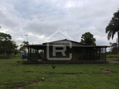 Imagem 11 de 30 de Sitio Com Topografia Plana, Totalmente Limpo, Ótimo Para Plantação Ou Criação De Gados. - 37 - 70344663