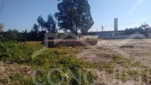 Imagem 7 de 10 de Terreno - Serraria - Ref: 552 - L-2160